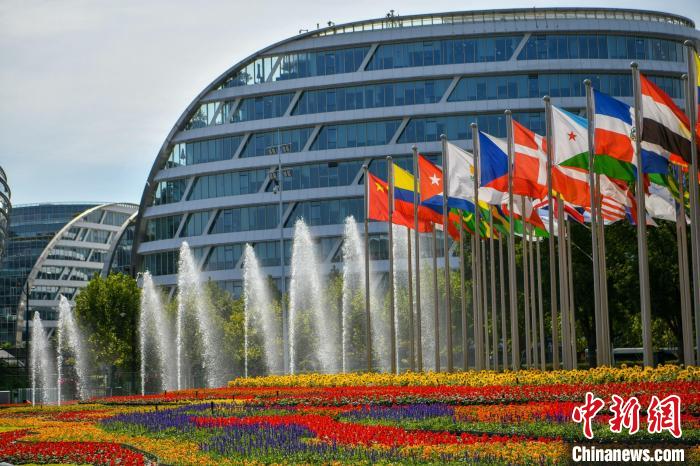 第五屆進博會場館景觀裝飾全面定妝?！￡悏魸?攝