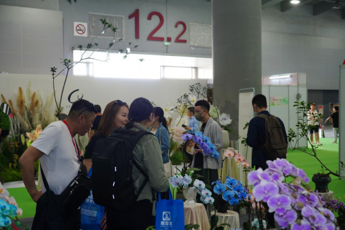 2024花城“新秀花事”亮點搶先看！和廣州國際花藝節(jié)一起解鎖“花經(jīng)濟”財富密碼(圖4)